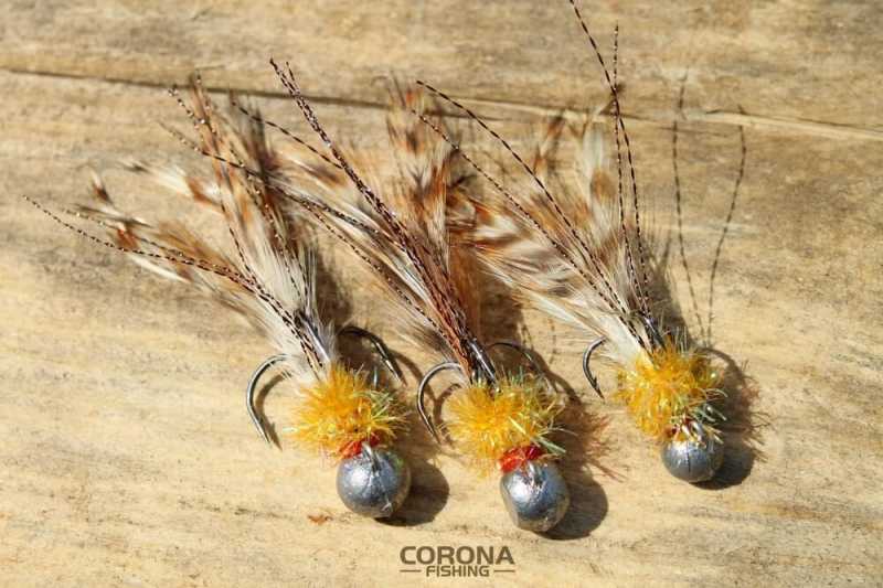 jakie koguty na okonia